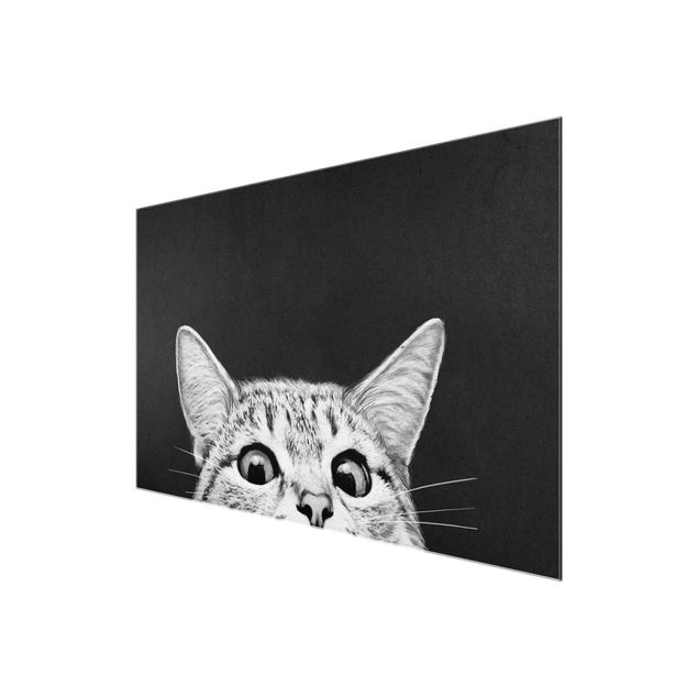 Quadros em vidro animais Illustration Cat Black And White Drawing