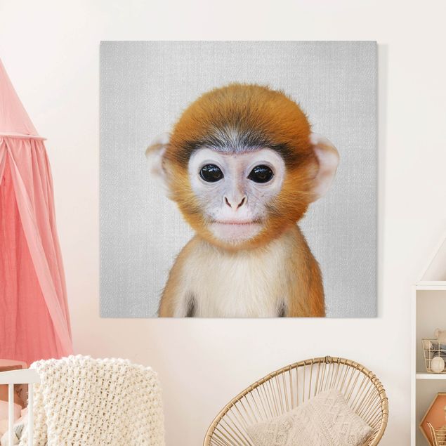 Telas decorativas macacos Baby Monkey Anton