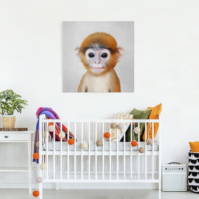 Quadros macacos Baby Monkey Anton