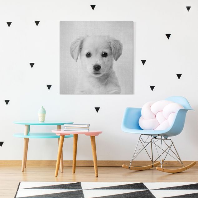 Telas decorativas cães Baby Golden Retriever Gizmo Black And White