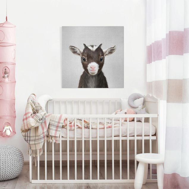 Telas decorativas animais Baby Goat Zelda