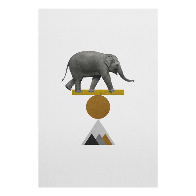 Quadros em cinza Art Of Balance Elephant
