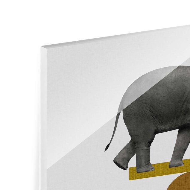 quadro em vidro Art Of Balance Elephant