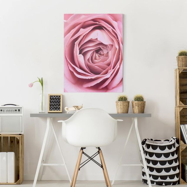 Telas decorativas flores Pink Rose Blossom