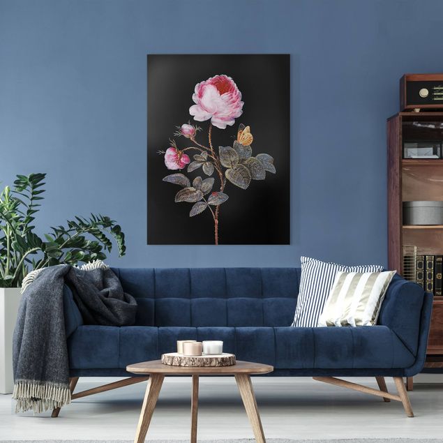 Telas decorativas rosas Barbara Regina Dietzsch - The Hundred-Petalled Rose