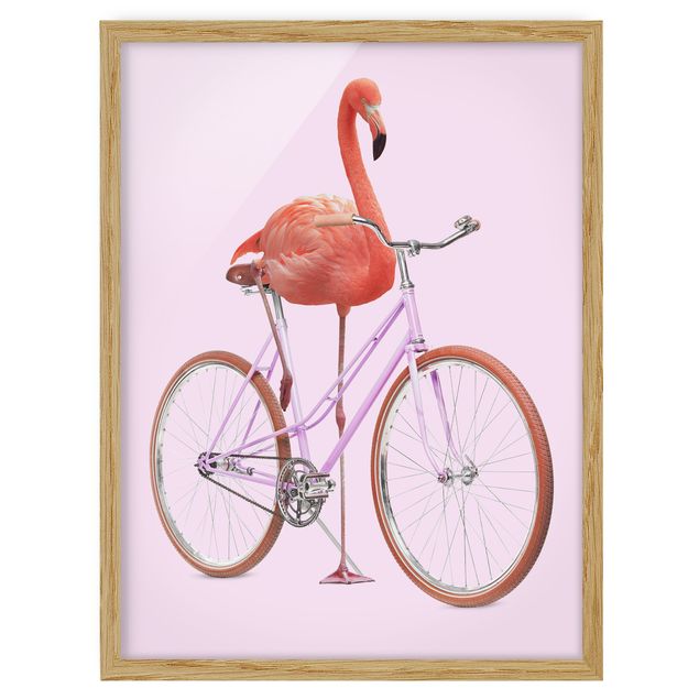 Quadros desporto Flamingo With Bicycle