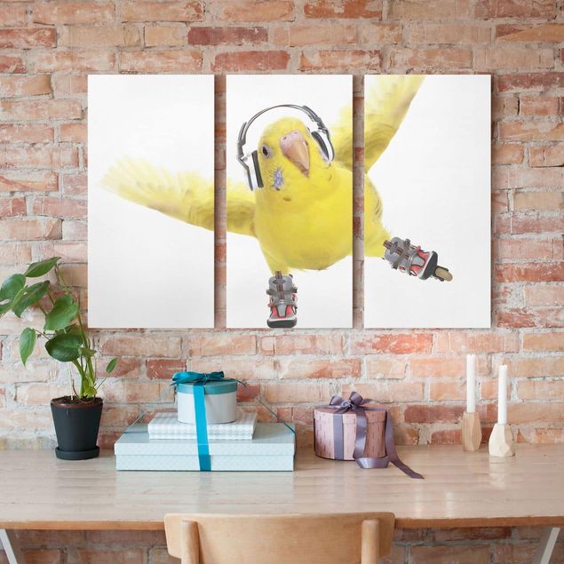 Telas decorativas aves Skate Parakeet
