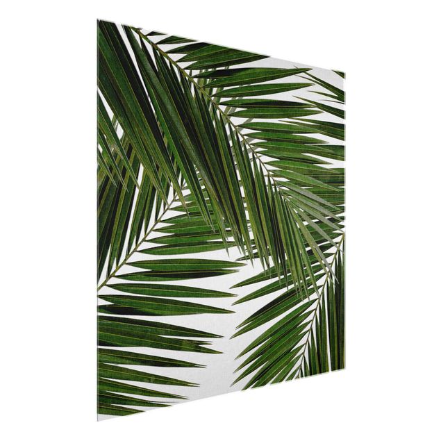 Quadros florais View Through Green Palm Leaves