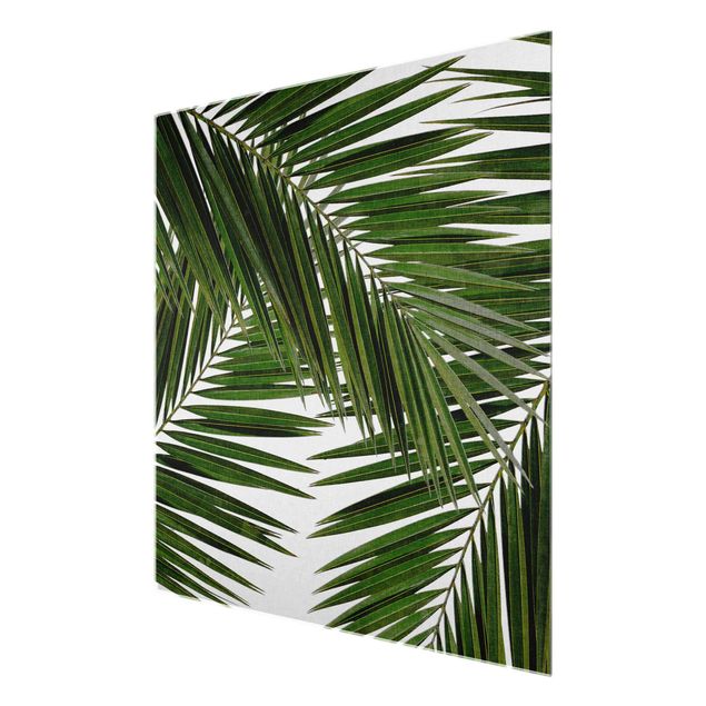 quadro decorativo verde View Through Green Palm Leaves