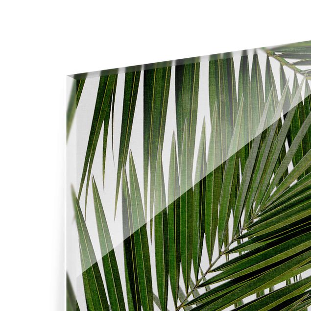 quadros para parede View Through Green Palm Leaves