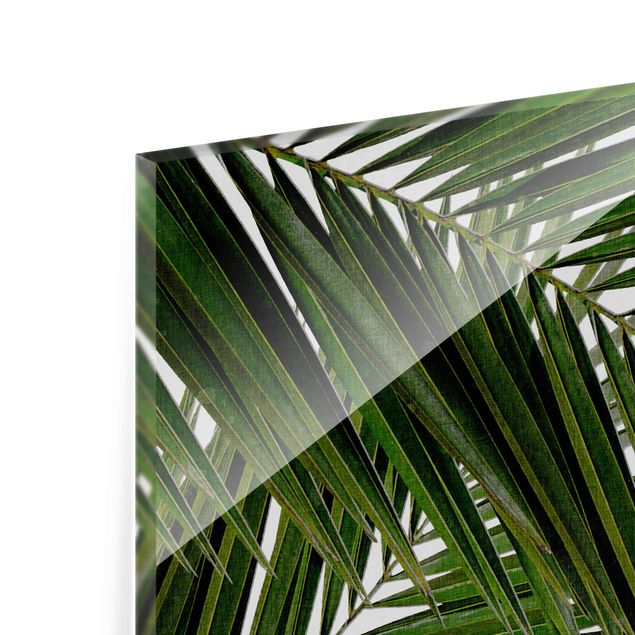 quadros para parede View Through Green Palm Leaves