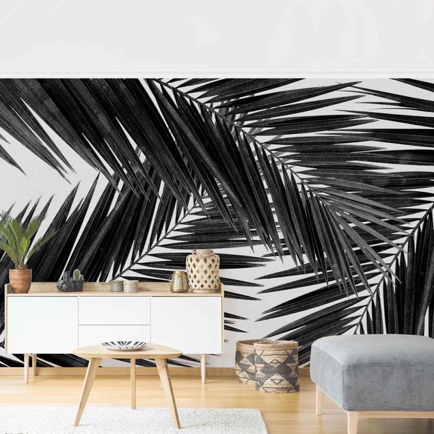 Papel de parede preto e branco View Over Palm Leaves Black And White