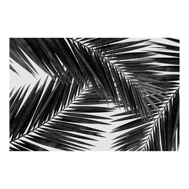 Mural de parede View Over Palm Leaves Black And White