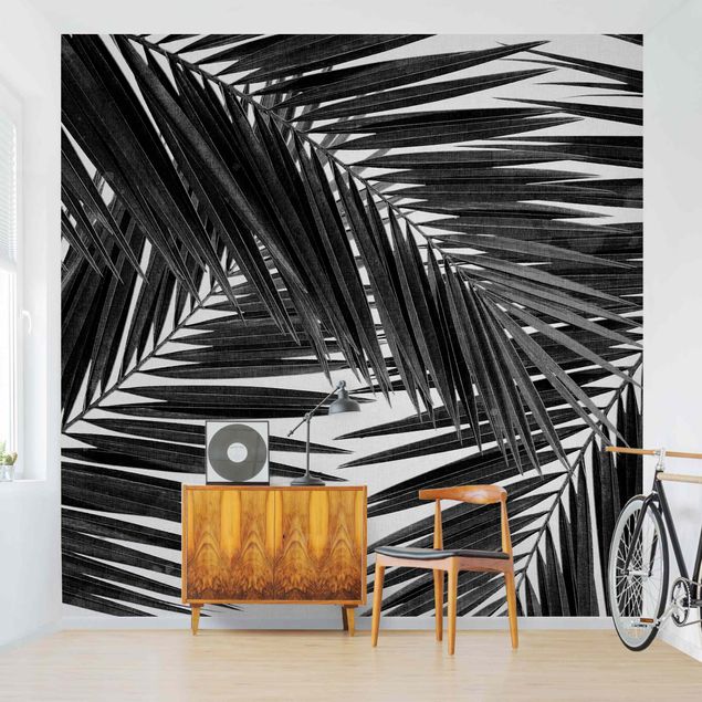 decoraçoes cozinha View Through Palm Leaves Black And White