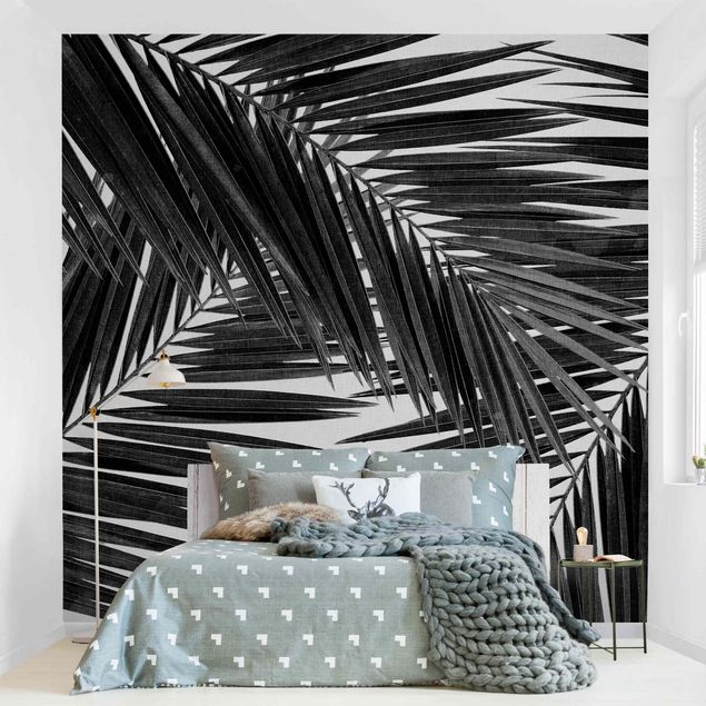 Papel de parede preto e branco View Through Palm Leaves Black And White