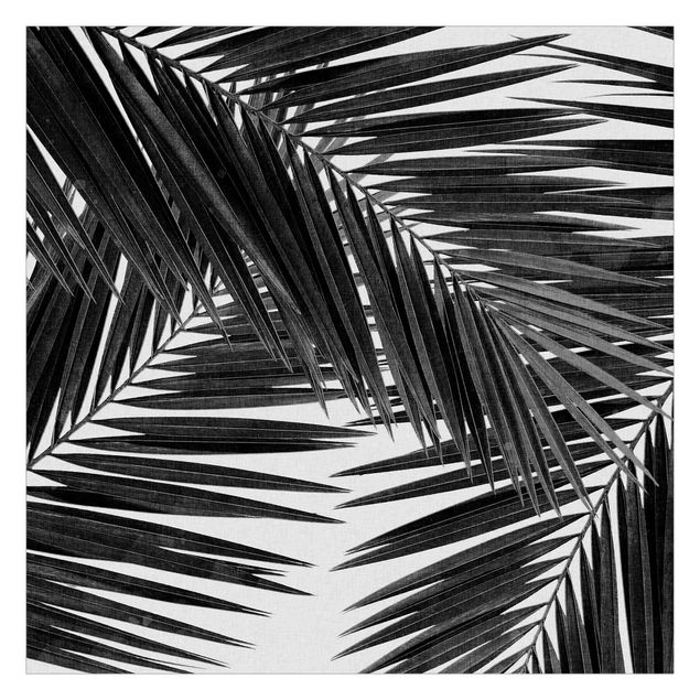 Mural de parede View Through Palm Leaves Black And White