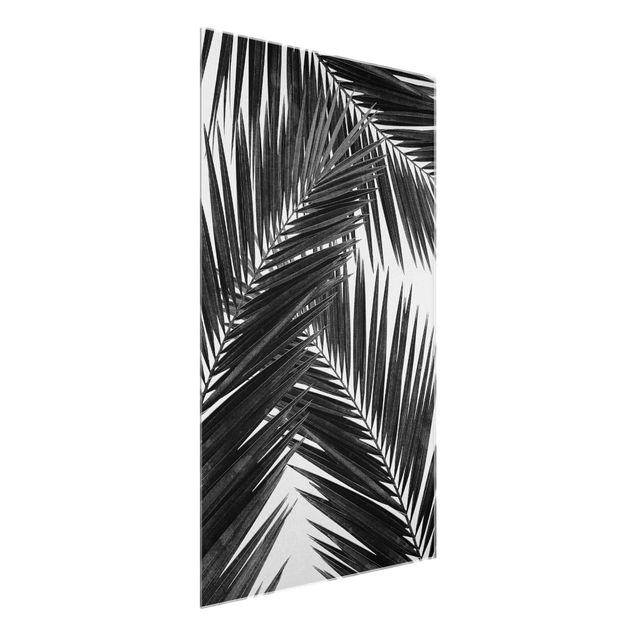 Quadros em vidro em preto e branco View Through Palm Leaves Black And White