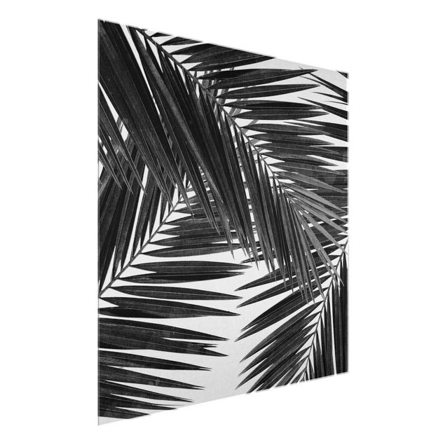 Quadros em vidro em preto e branco View Through Palm Leaves Black And White