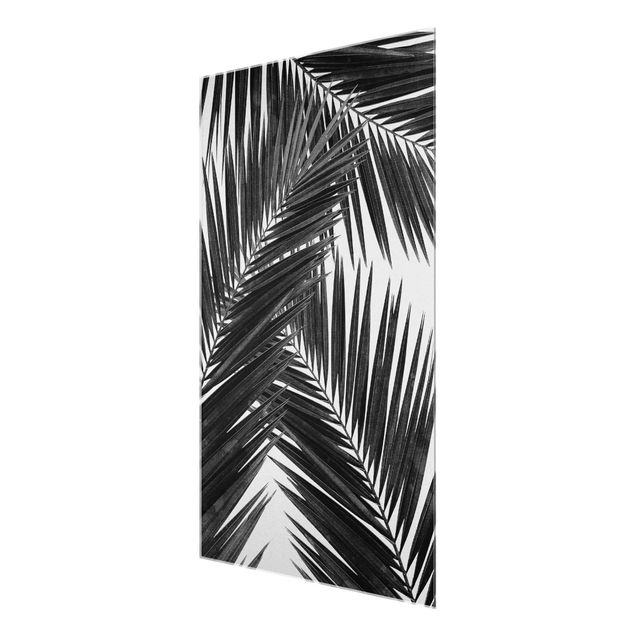 quadros em preto e branco View Through Palm Leaves Black And White