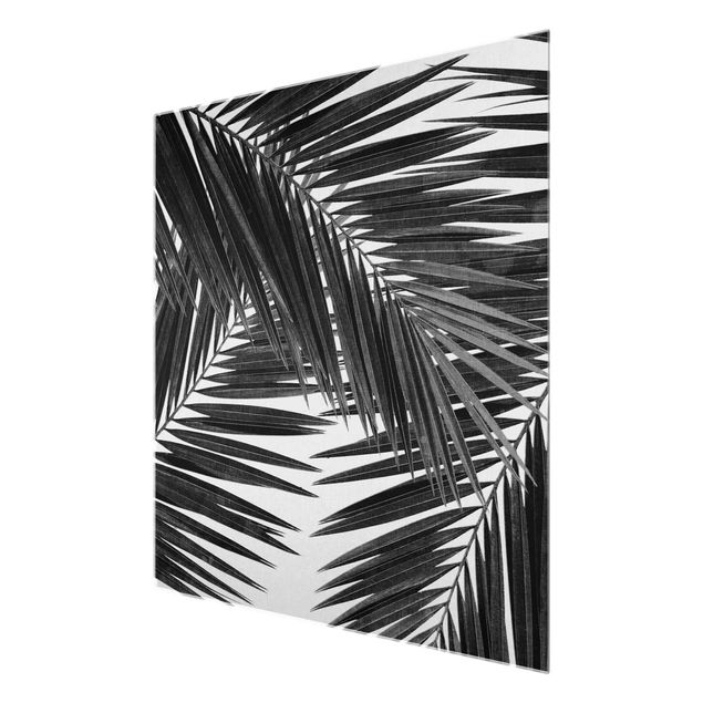 quadros em preto e branco View Through Palm Leaves Black And White
