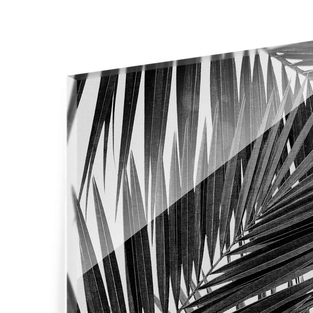 quadros para parede View Through Palm Leaves Black And White