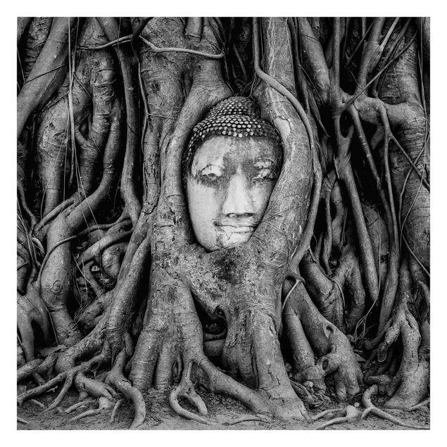 Mural de parede Buddha In Ayutthaya Lined From Tree Roots In Black And White