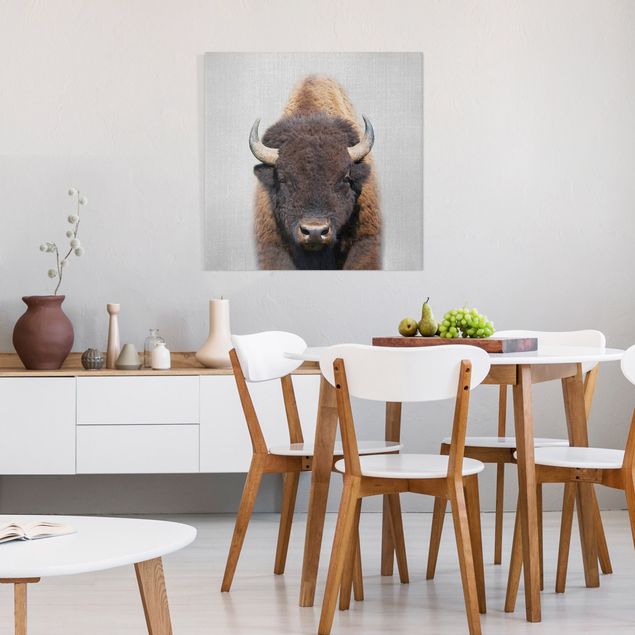 Telas decorativas animais Buffalo Bertram