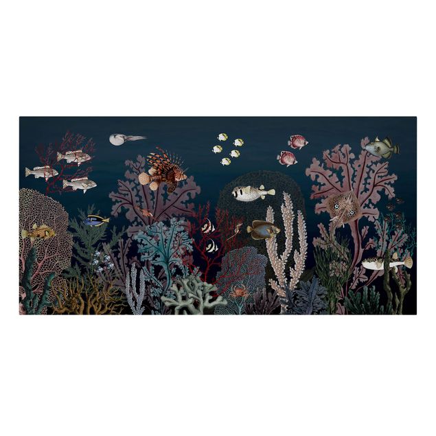 quadros sobre o mar Colourful coral reef at night