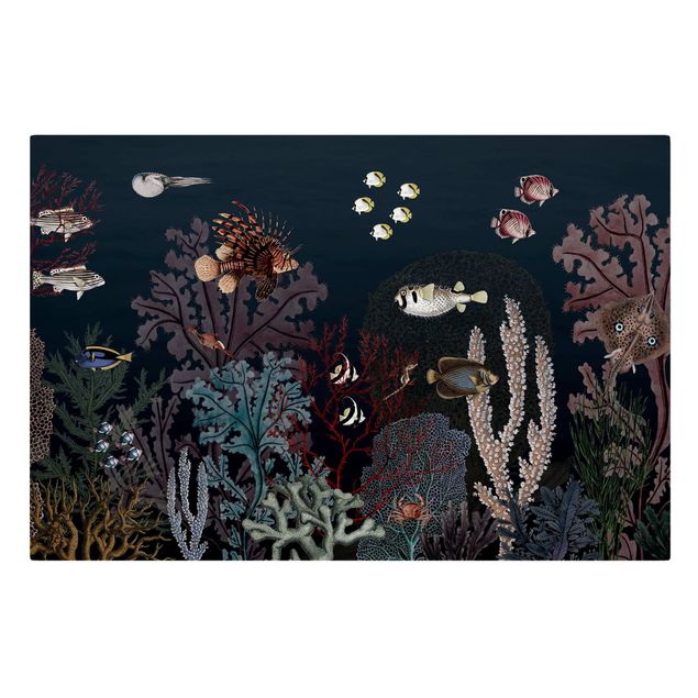 quadros sobre o mar Colourful coral reef at night