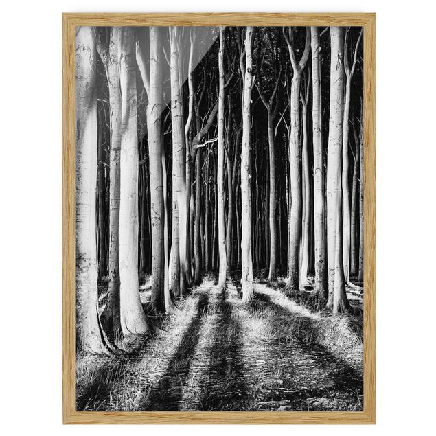 Quadros com moldura em preto e branco Spooky Forest
