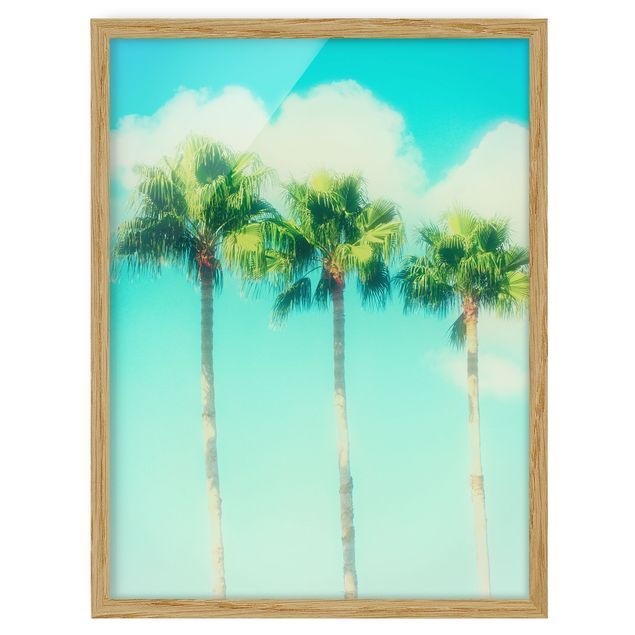 Quadros florais Palm Trees Against Blue Sky