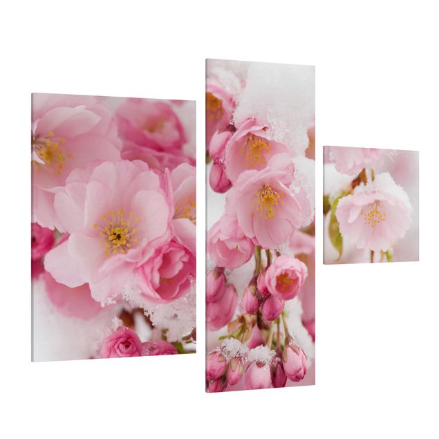 Telas decorativas flores Snow-Covered Cherry Blossoms