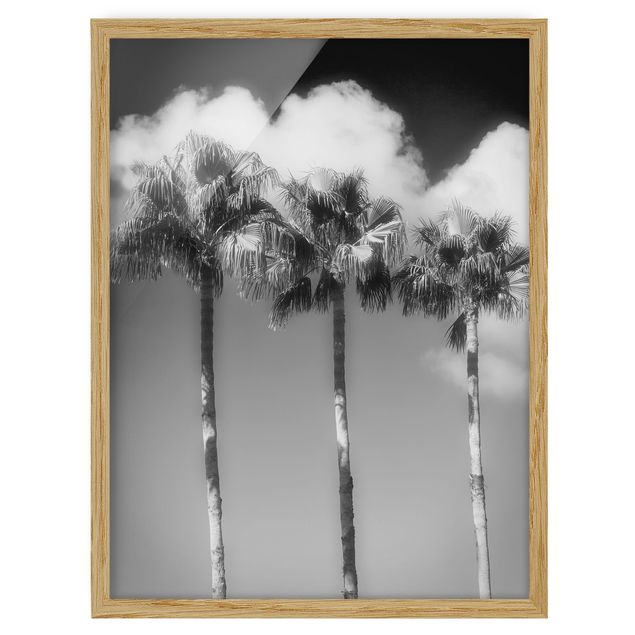 Quadros com moldura flores Palm Trees Against The Sky Black And White