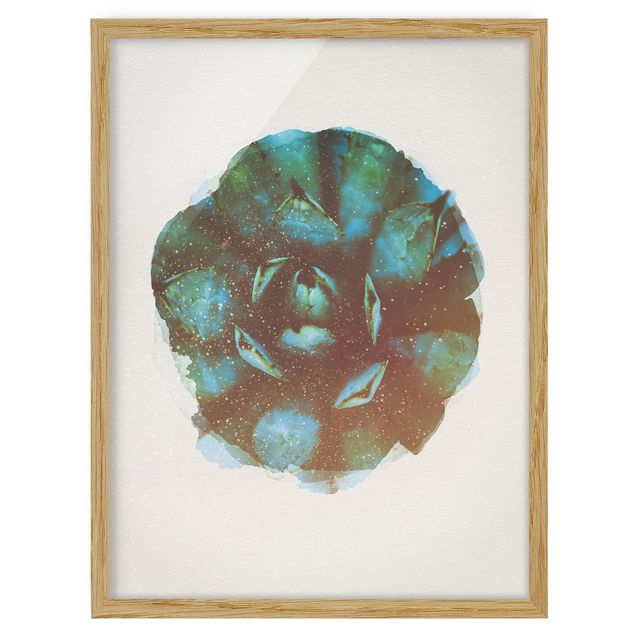 quadros flores Water Colours - Blue Agave