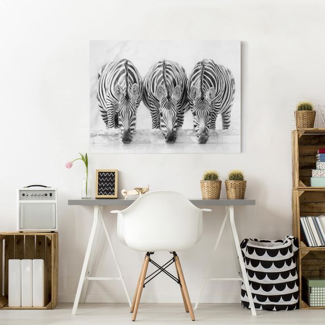 Quadros zebras Zebra Trio In Black And White