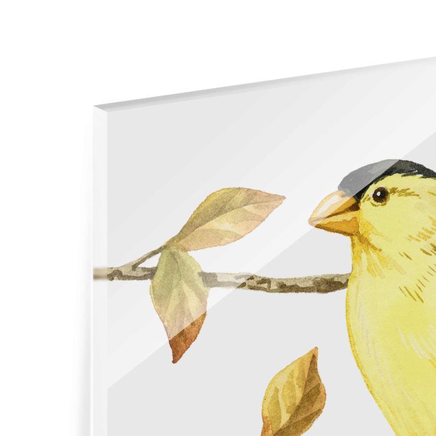 Quadros em vidro Birds And Berries - American Goldfinch