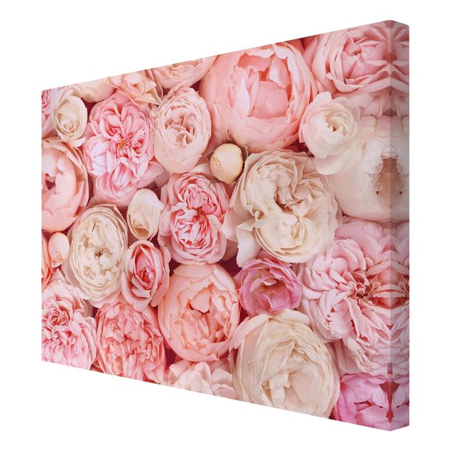 Quadros decorativos Roses Rosé Coral Shabby