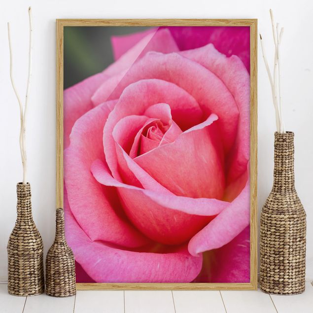 decoraçao para parede de cozinha Pink Rose Flowers Green Backdrop