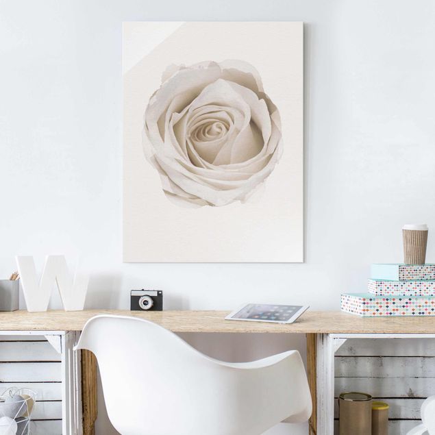 decoraçoes cozinha WaterColours - Pretty White Rose