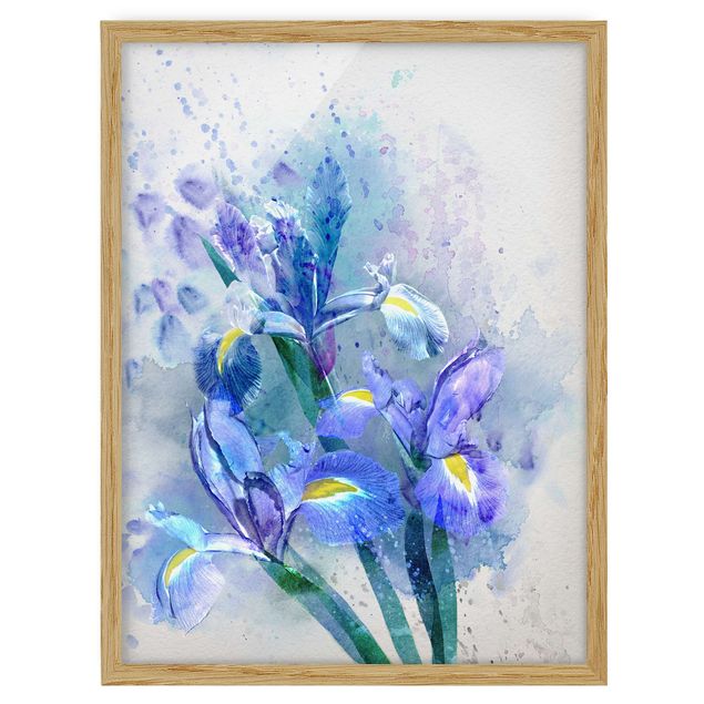 quadro com flores Watercolour Flowers Iris