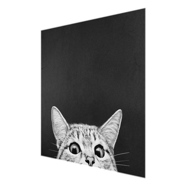 Quadros em vidro animais Illustration Cat Black And White Drawing