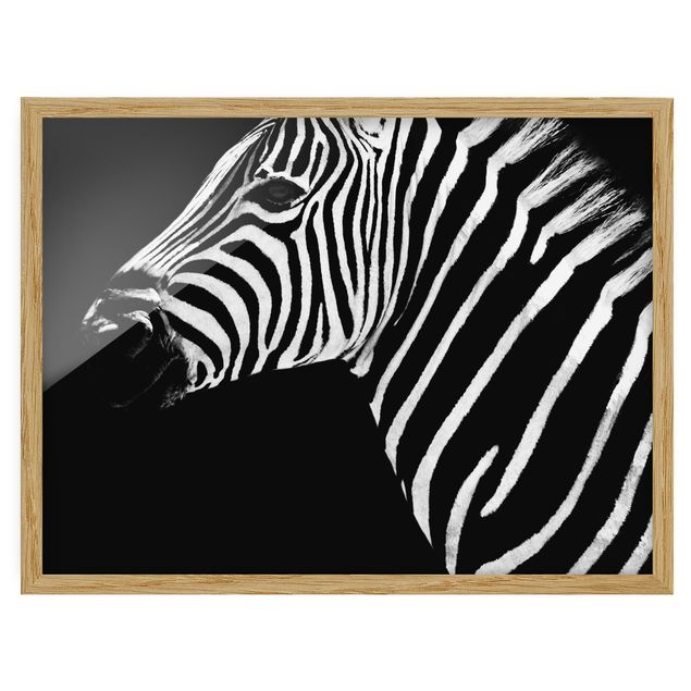 Quadros com moldura abstratos Zebra Safari Art