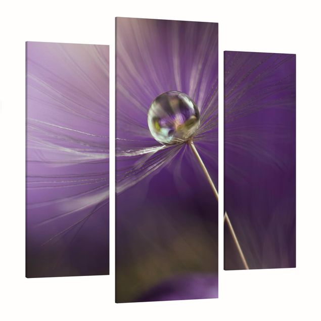 Quadros florais Dandelion In Violet