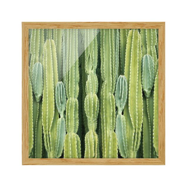 quadro com flores Cactus Wall