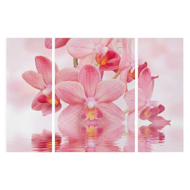 Quadros florais Light Pink Orchid On Water