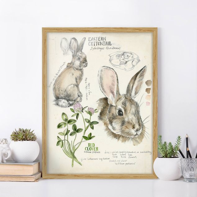 decoraçao cozinha Wilderness Journal - Rabbit