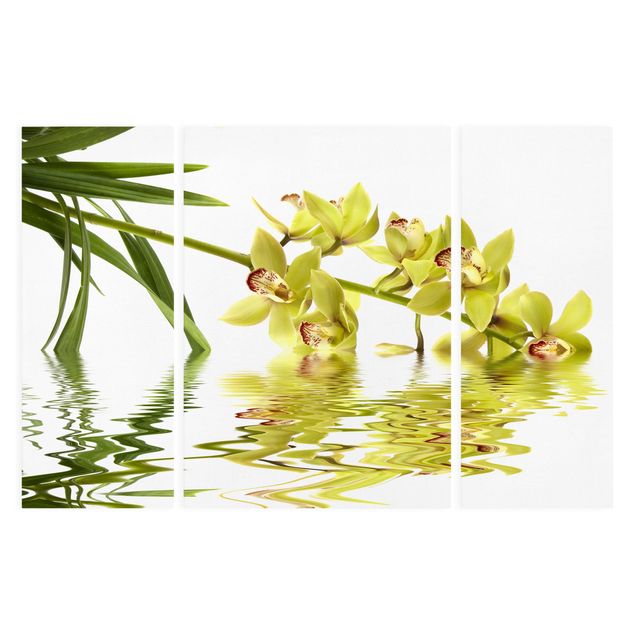 Telas decorativas flores Elegant Orchid Waters