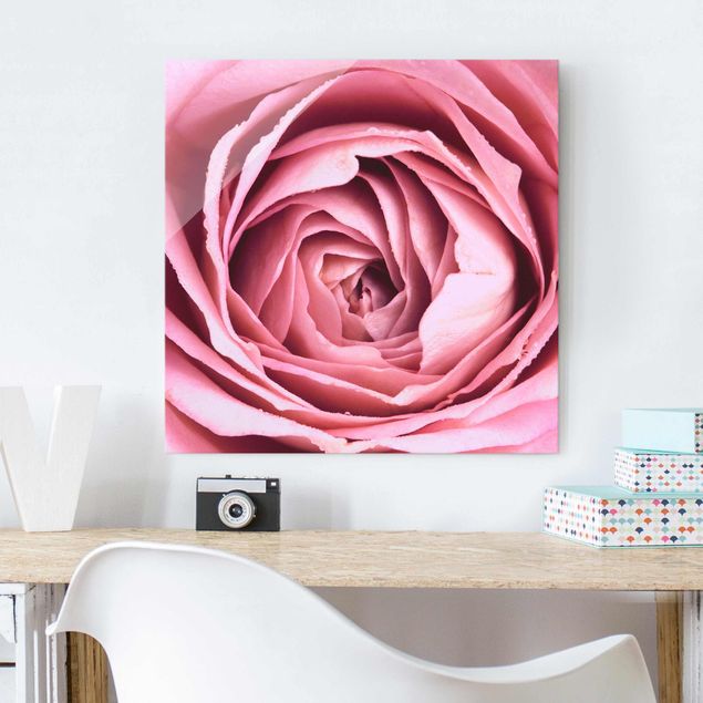 quadro em vidro Pink Rose Blossom