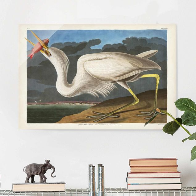 decoraçoes cozinha Vintage Board Great White Egret
