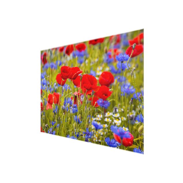 quadro com flores Summer Meadow With Poppies And Cornflowers